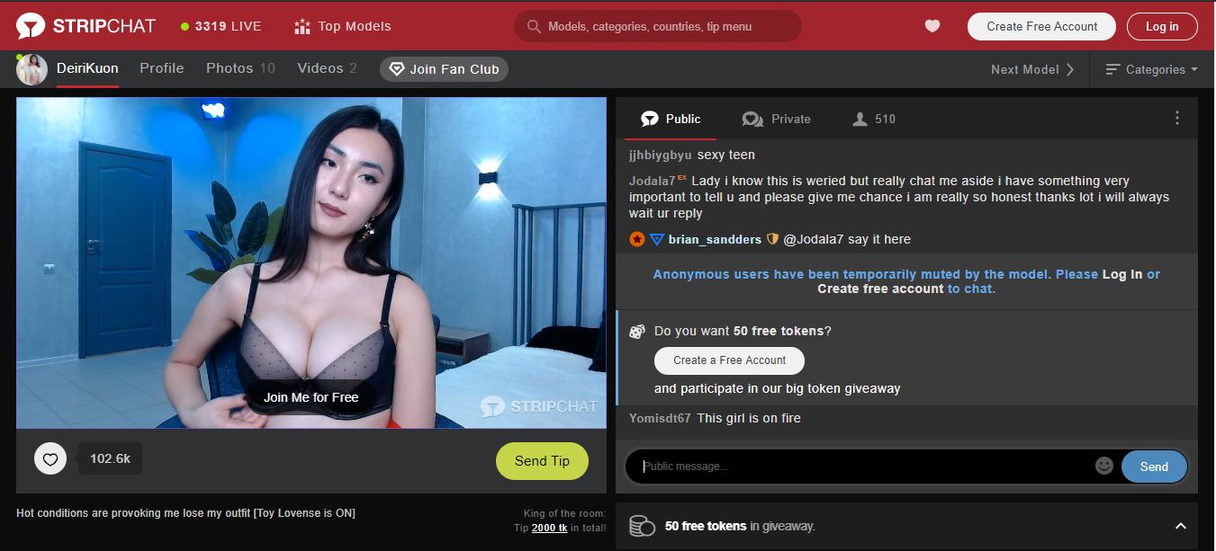 Stripchat Cam Window